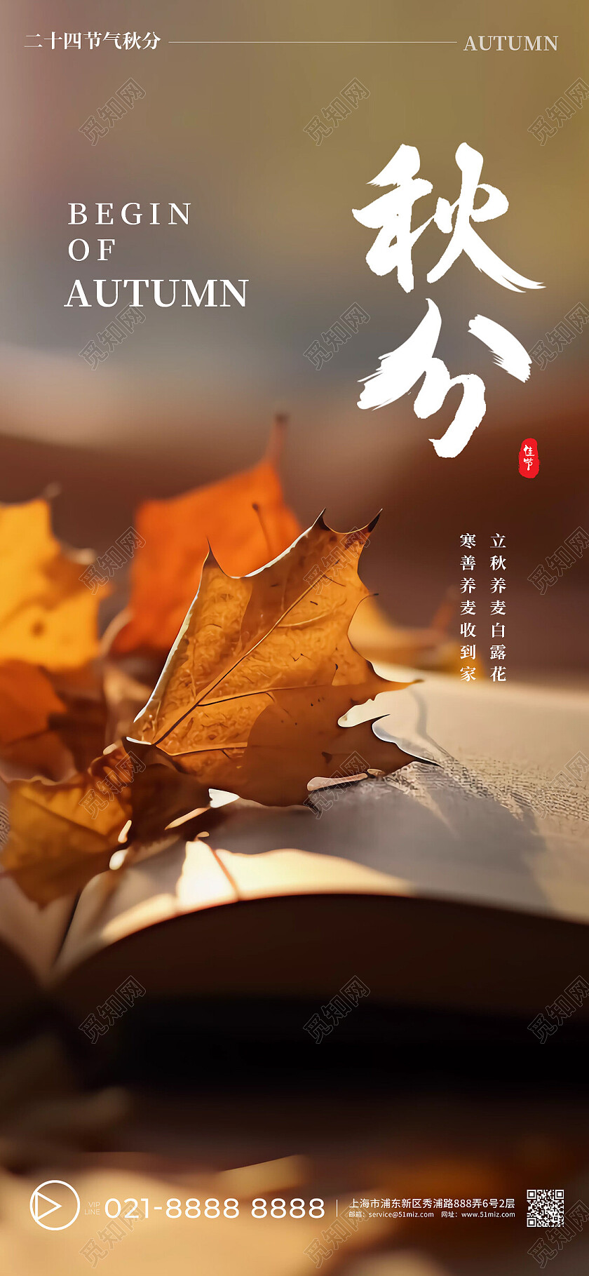 夕阳暖色文艺简约大气二十四节气秋分落叶图书手机宣传海报AI