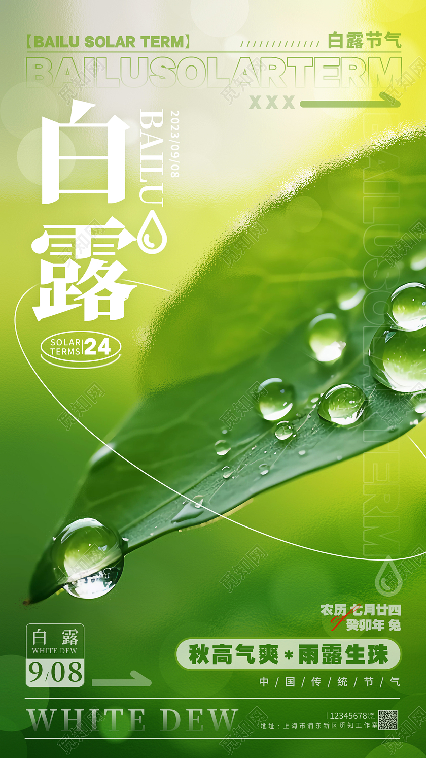绿色摄影实拍风格白露白露节气宣传海报白露节气手机宣传海报