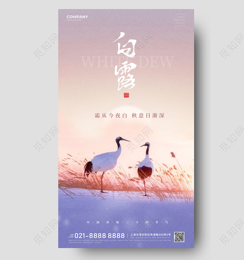 简约白露24节气手机海报宣传海报白露节气
