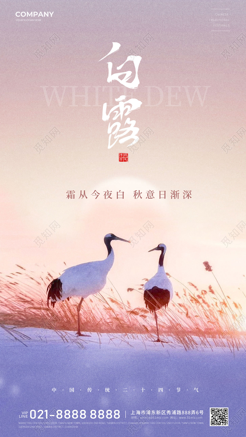 简约白露24节气手机海报宣传海报白露节气