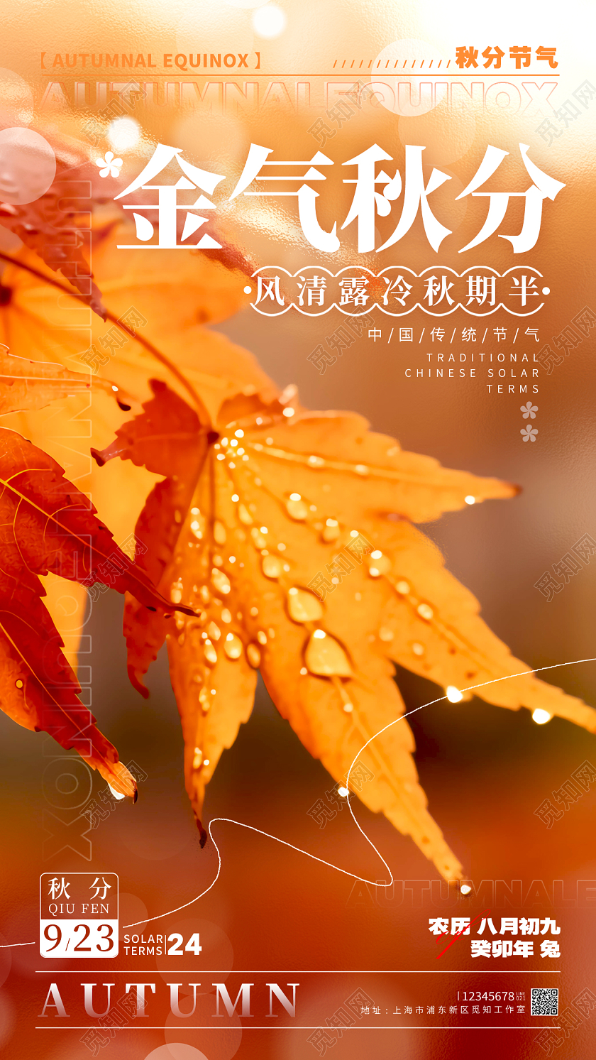 渐变色摄影实拍风格秋分秋分节气宣传海报秋分节气手机宣传海报