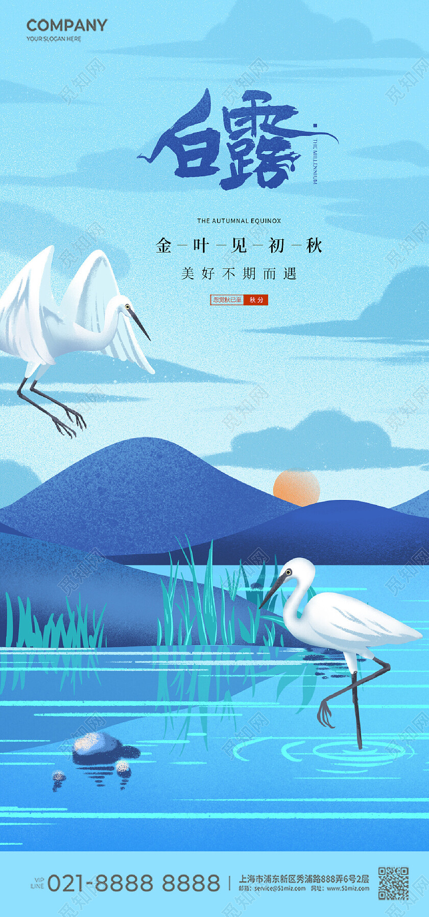 白露版式简约国潮插画简约白鹭海报白露节气