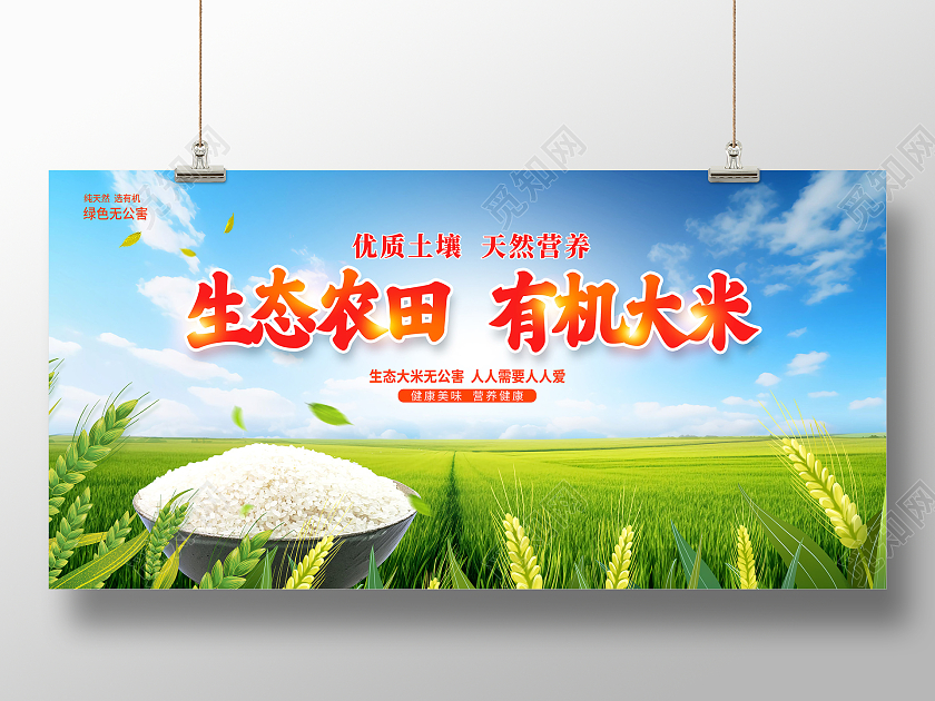 绿色大气生态农田有机大米展板设计