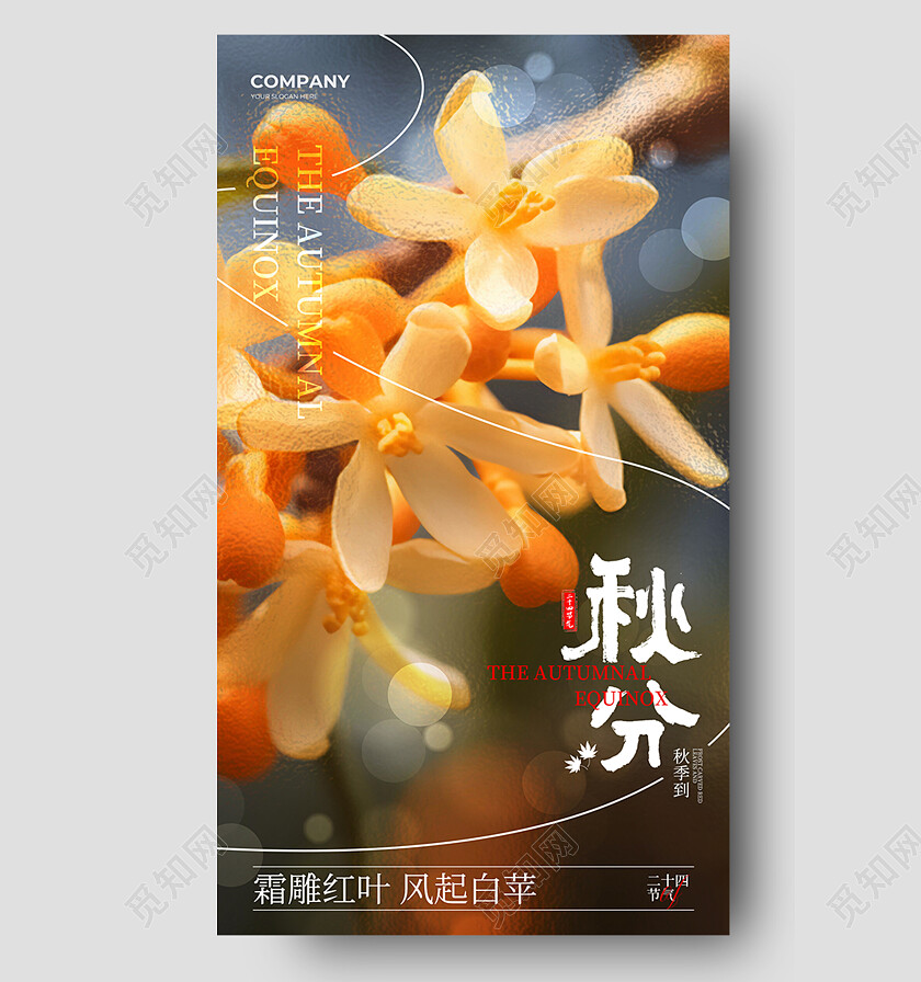 橙色简约摄影秋分节气海报