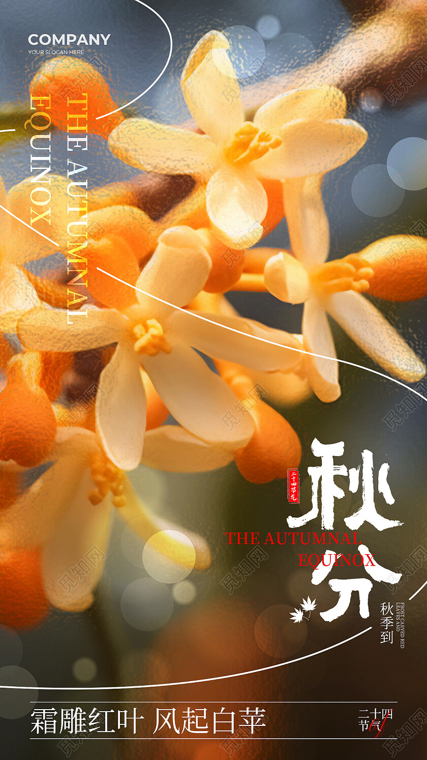 橙色简约摄影秋分节气海报