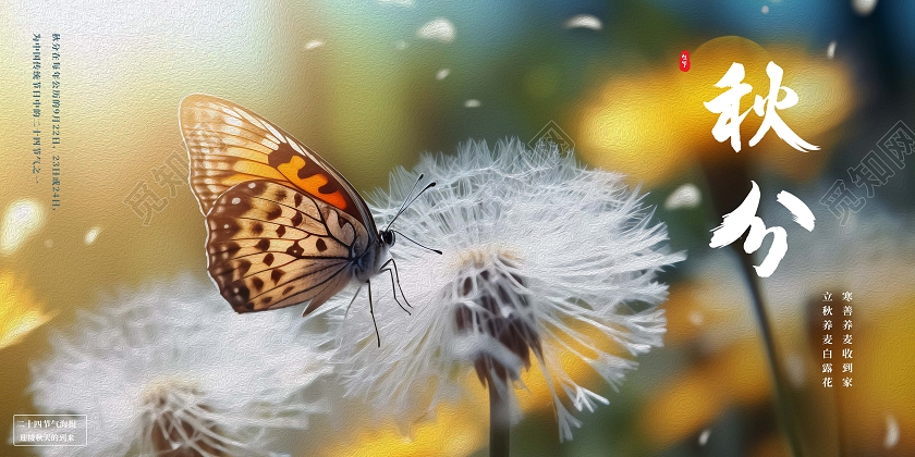 黄色唯美秋分摄影图蝴蝶在蒲公英上停靠宣传展板AI