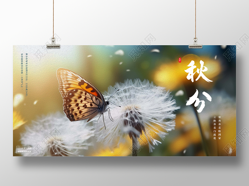 黄色唯美秋分摄影图蝴蝶在蒲公英上停靠宣传展板AI