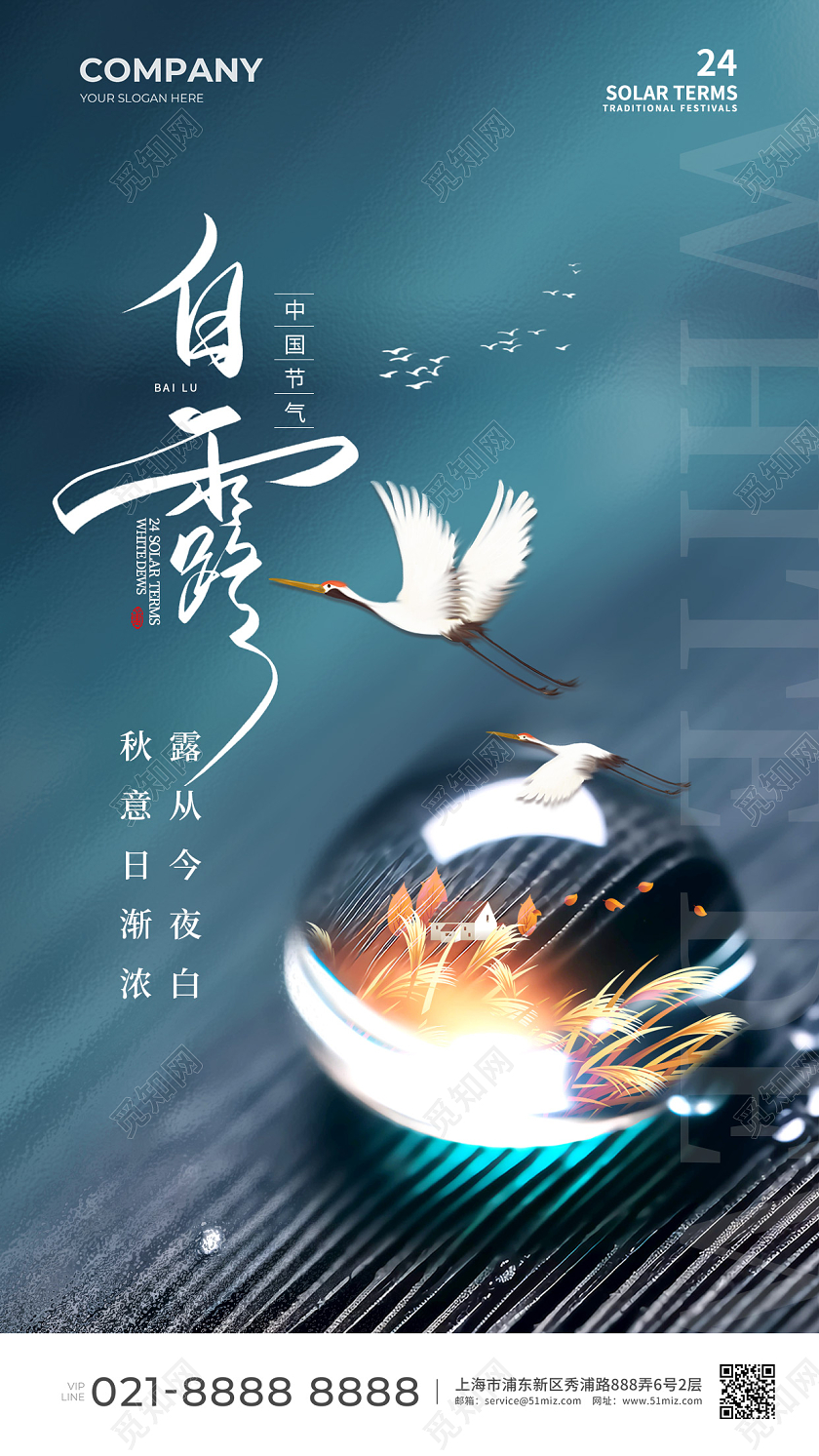 微缩摄影风白露节气手机宣传海报