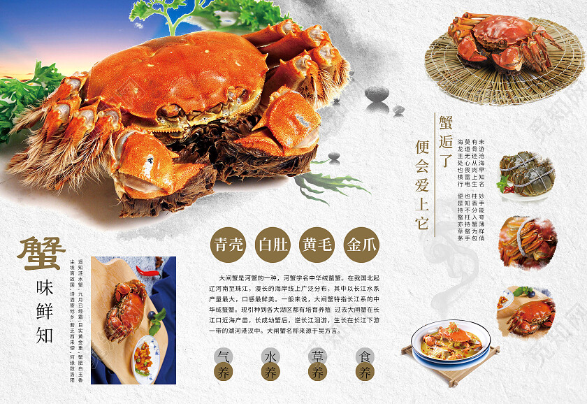 绿色简约大闸蟹促销宣传单中华美食