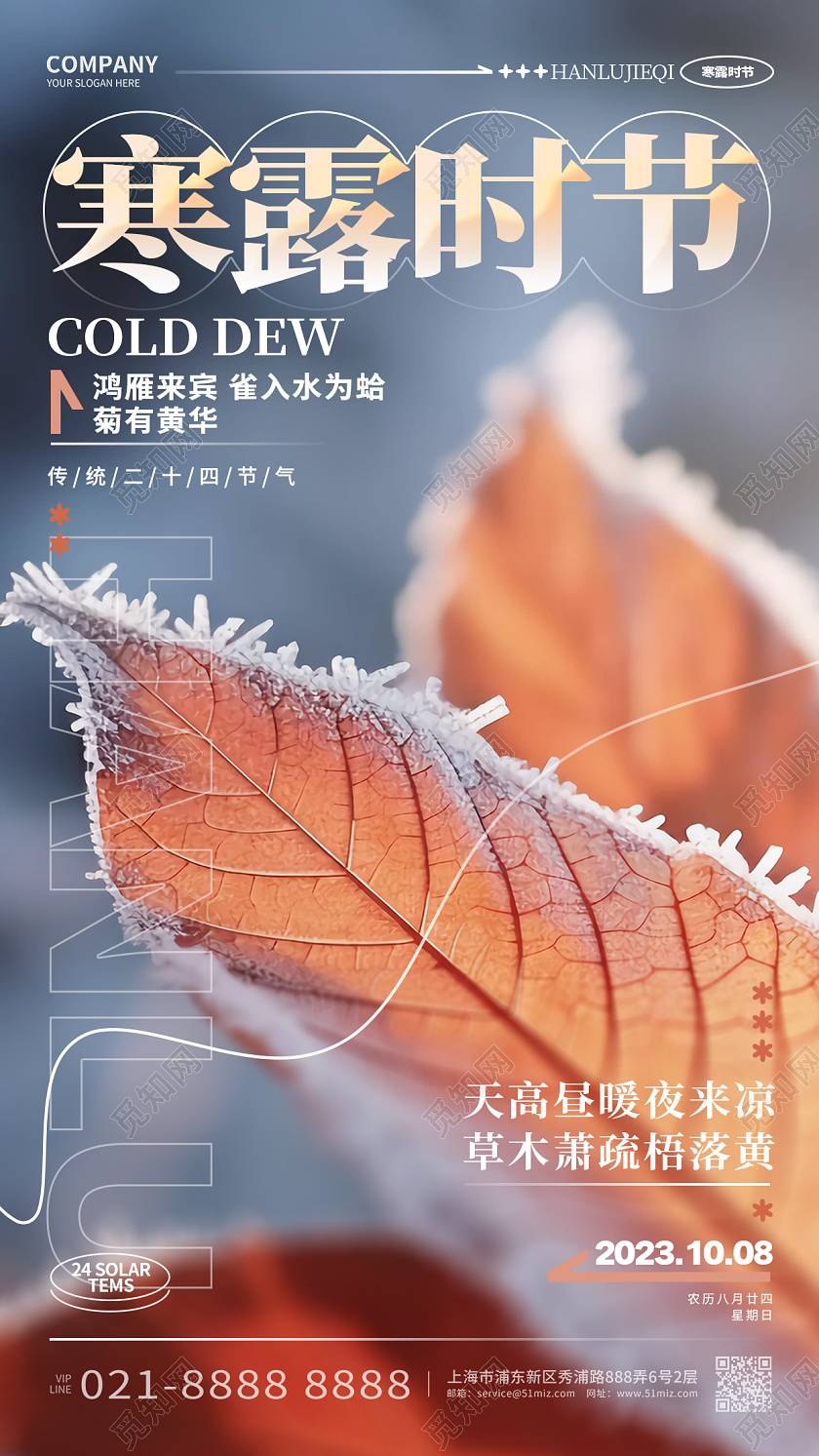 写实风创意寒露时节24节气寒露手机宣传海报AI