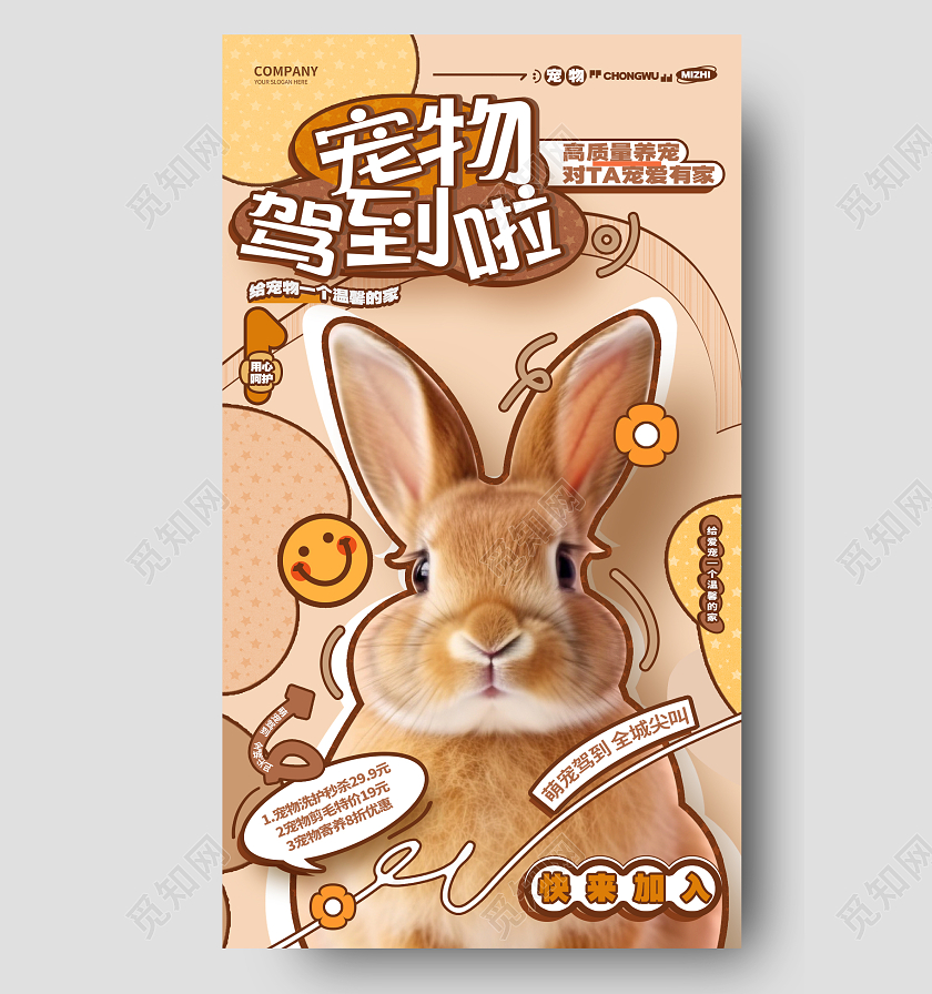 创意描边风宠物之家宠物寄养活动促销手机宣传海报AI