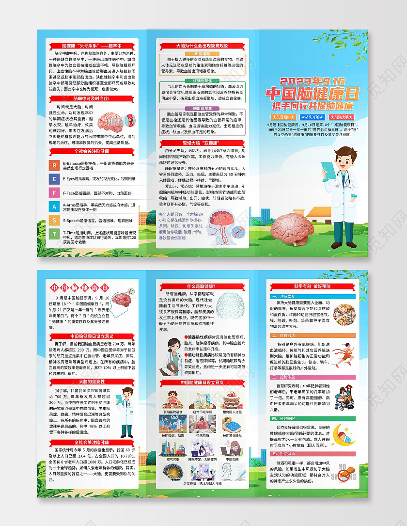2023年蓝色清新中国脑健康日携手同行共促脑健康三折页脑健康月916