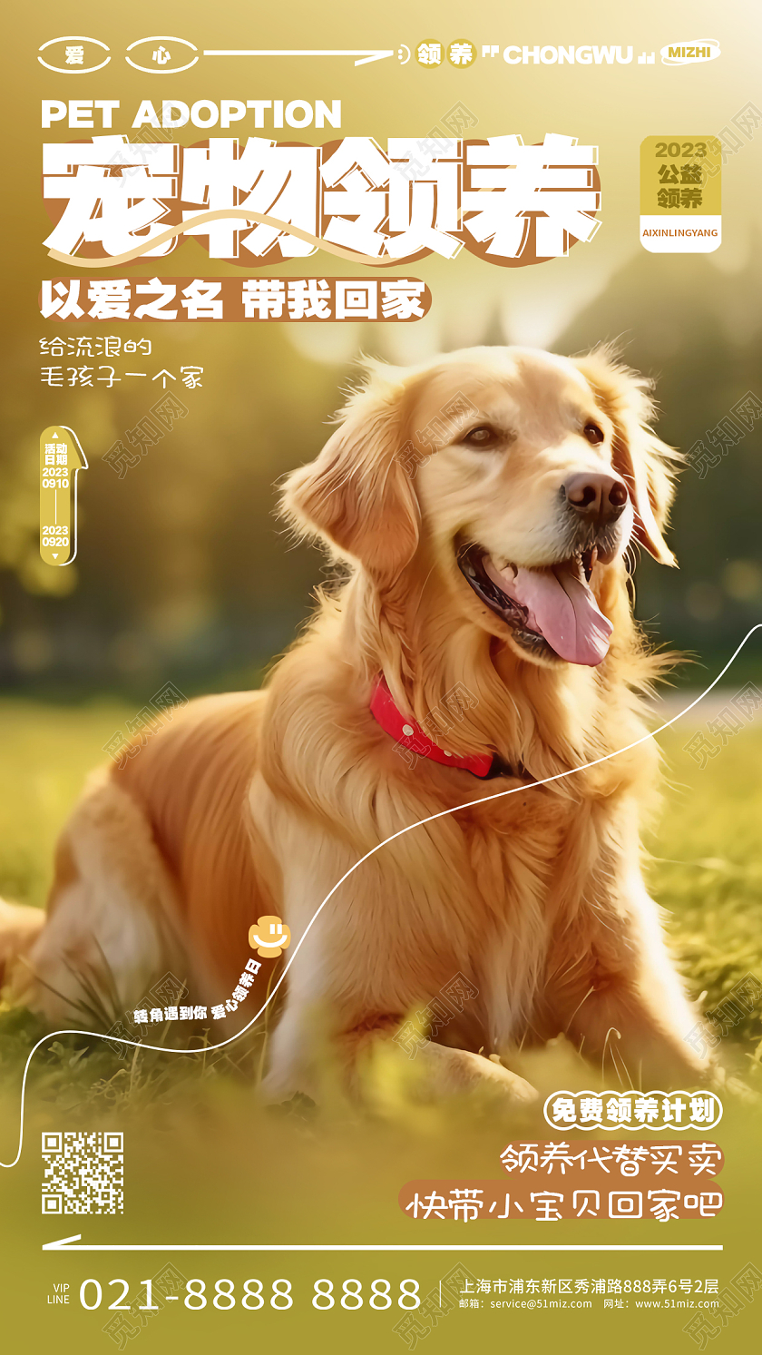 简约摄影风宠物领养手机宣传海报AI
