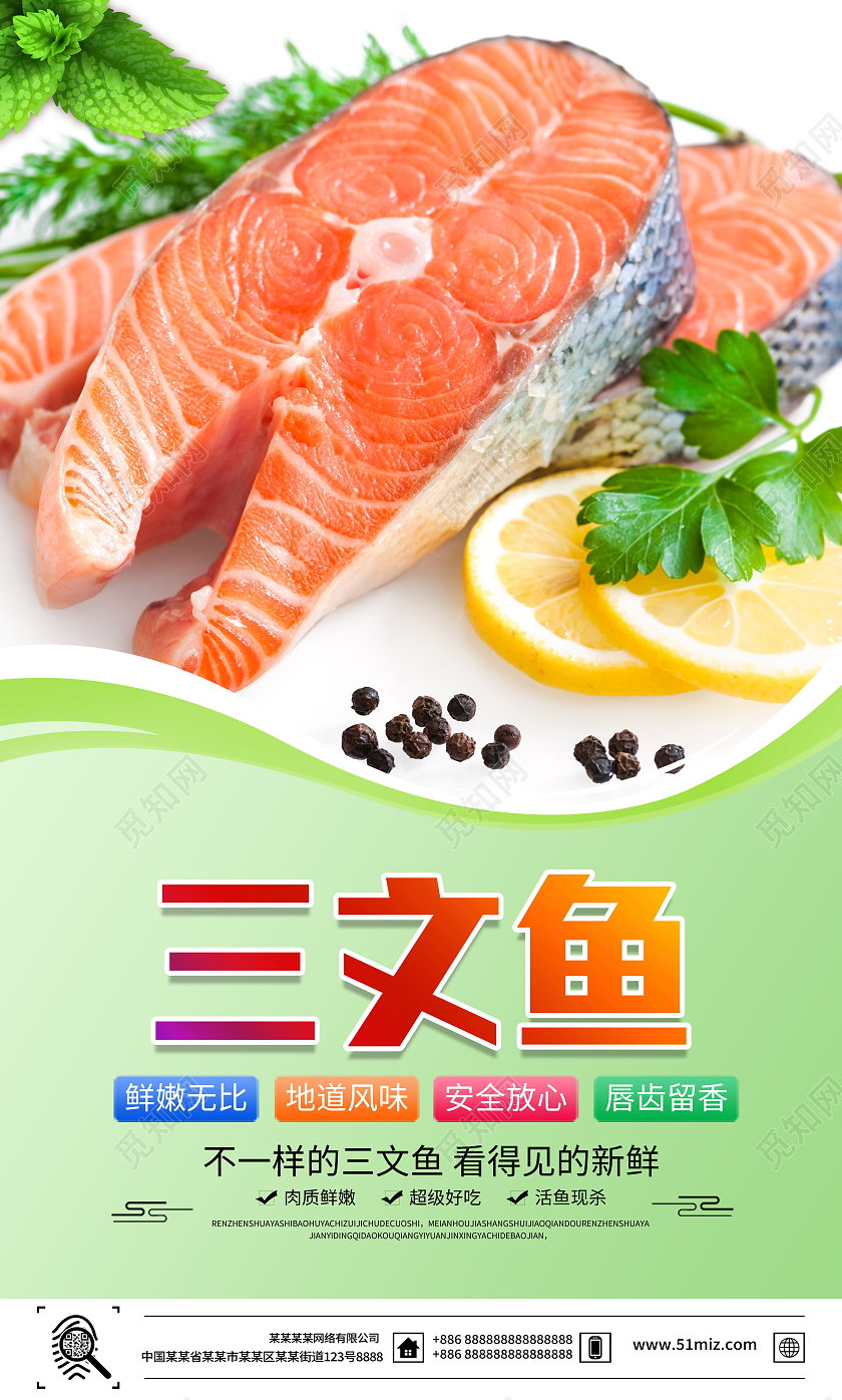 时尚大气三文鱼美食宣传挂画