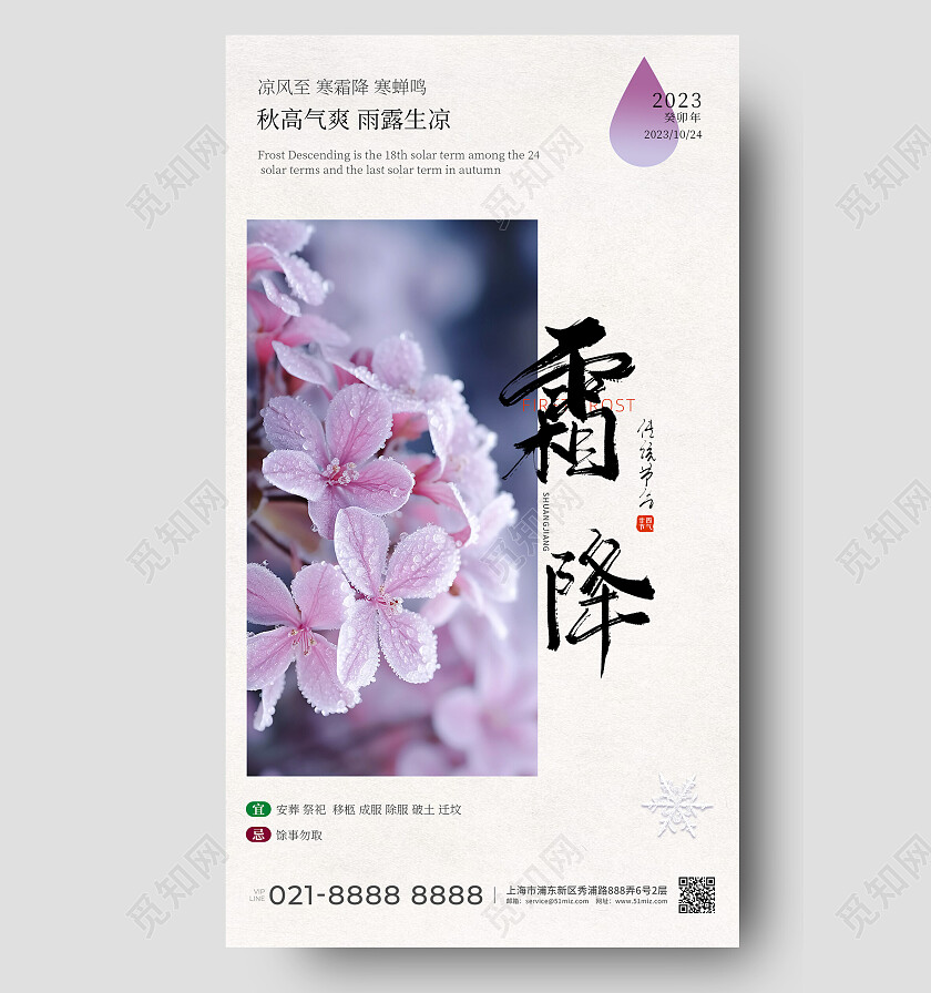 紫色摄影实拍二十四节气深秋霜降手机宣传海报