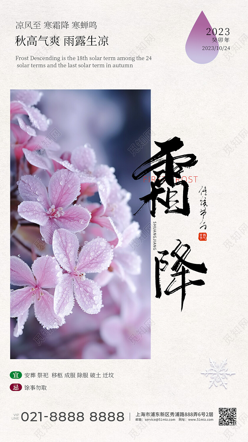 紫色摄影实拍二十四节气深秋霜降手机宣传海报