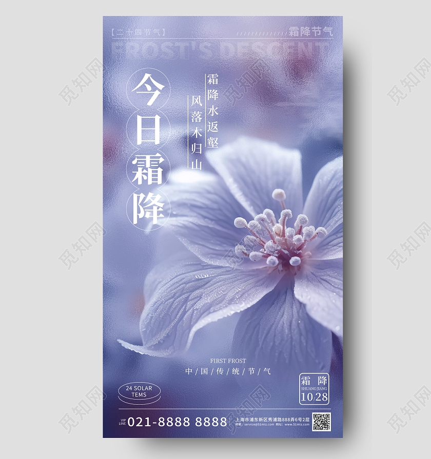 摄影实拍霜降手机宣传海报