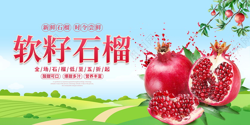 时尚大气新鲜石榴水果宣传展板石榴展板