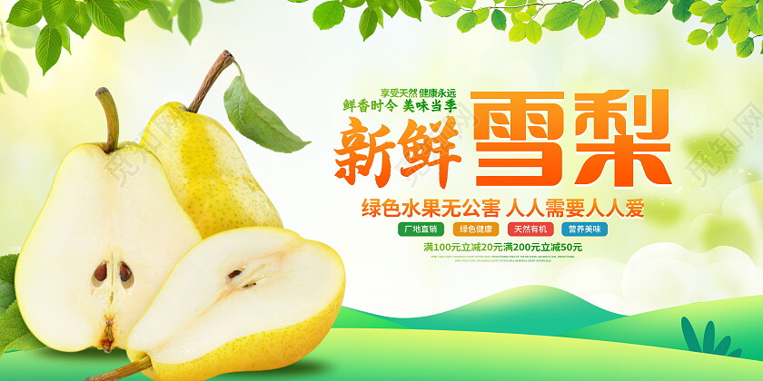 时尚大气新鲜雪梨水果宣传展板梨子展板