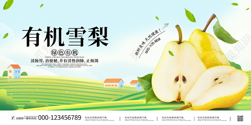 时尚大气新鲜雪梨水果宣传展板梨子展板