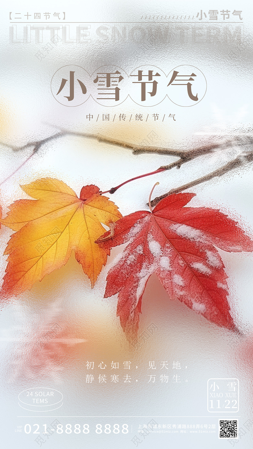 摄影实拍小雪简约手机宣传海报