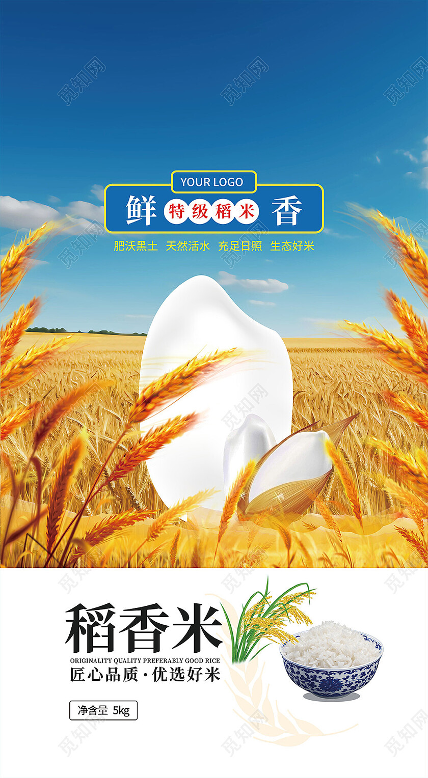 蓝色金色写实大米包装