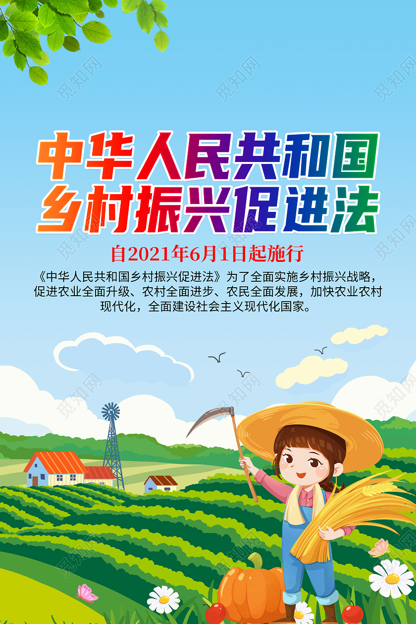 蓝色清新中华人民共和国乡村振兴促进法套图