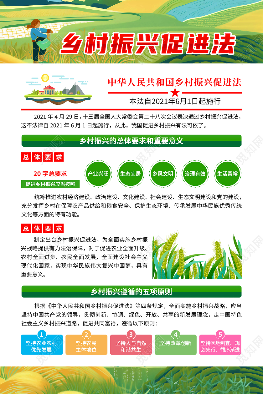 蓝色清新中华人民共和国乡村振兴促进法套图