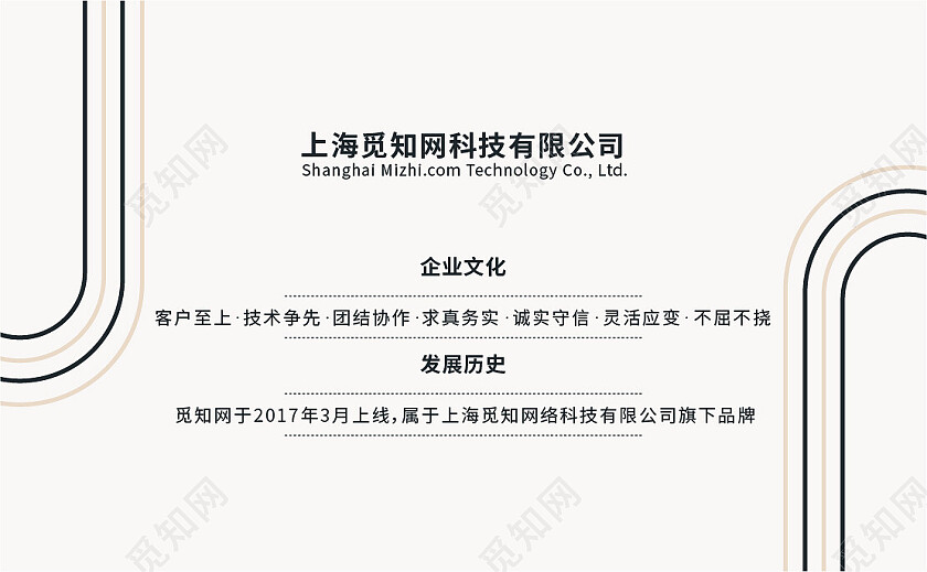 商务高档简洁大气简约线条企业名片名片设计
