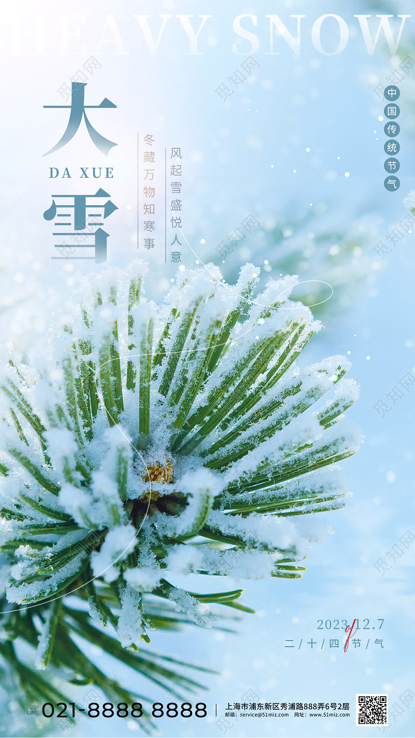 摄影实拍大雪节气手机宣传海报