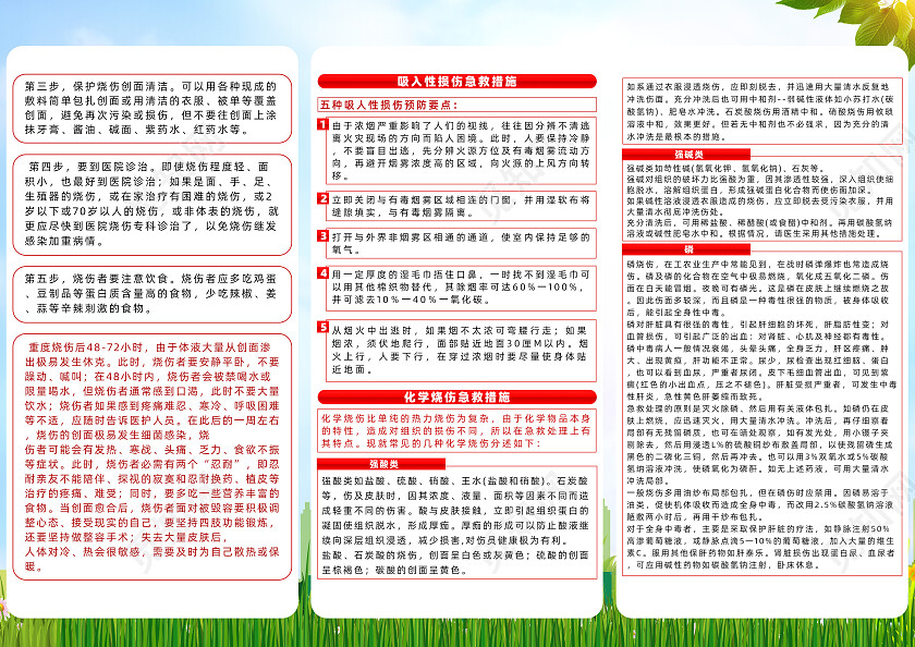 绿色简约人人学急救急救为人人急救知识三折页党政党建