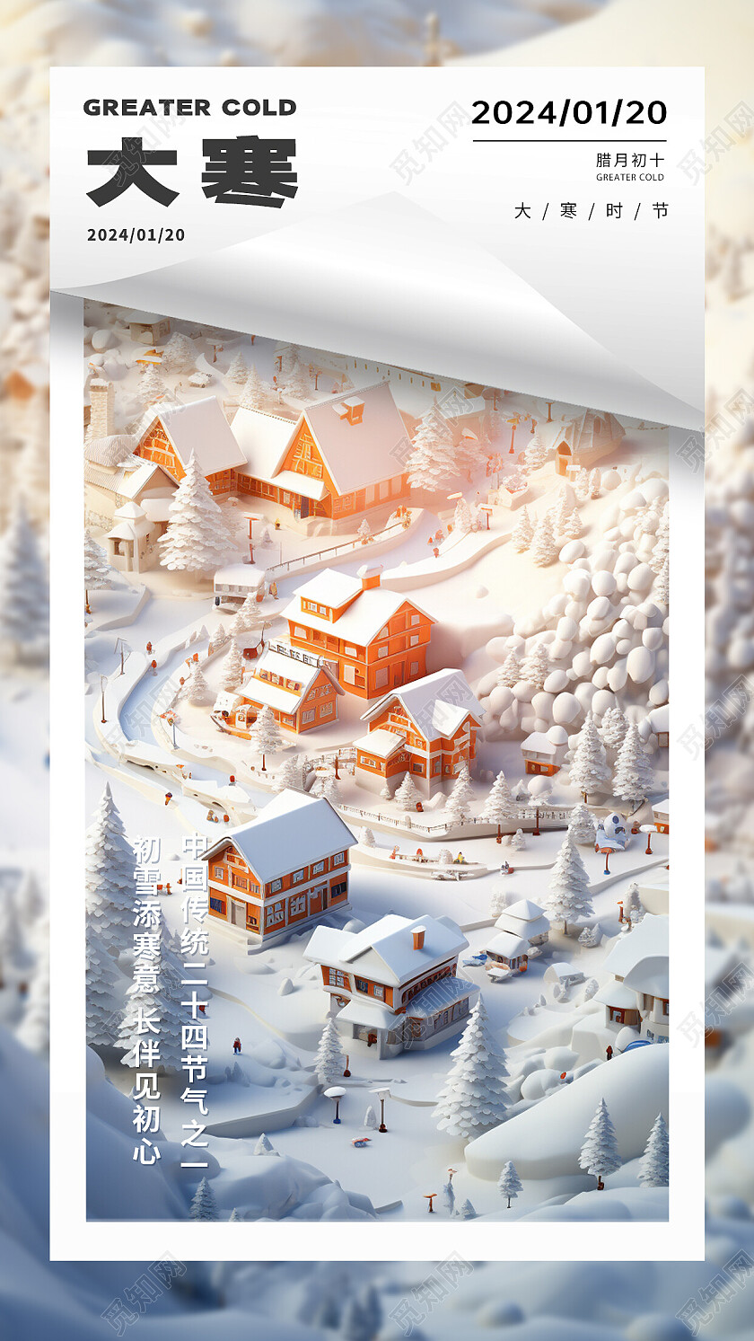 白色插画二十四节气大寒海报大寒