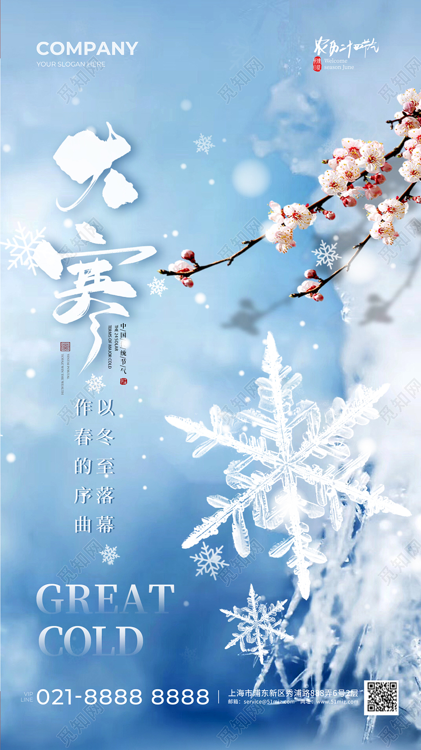 蓝色简约二十四节气大寒节气手机海报大寒海报
