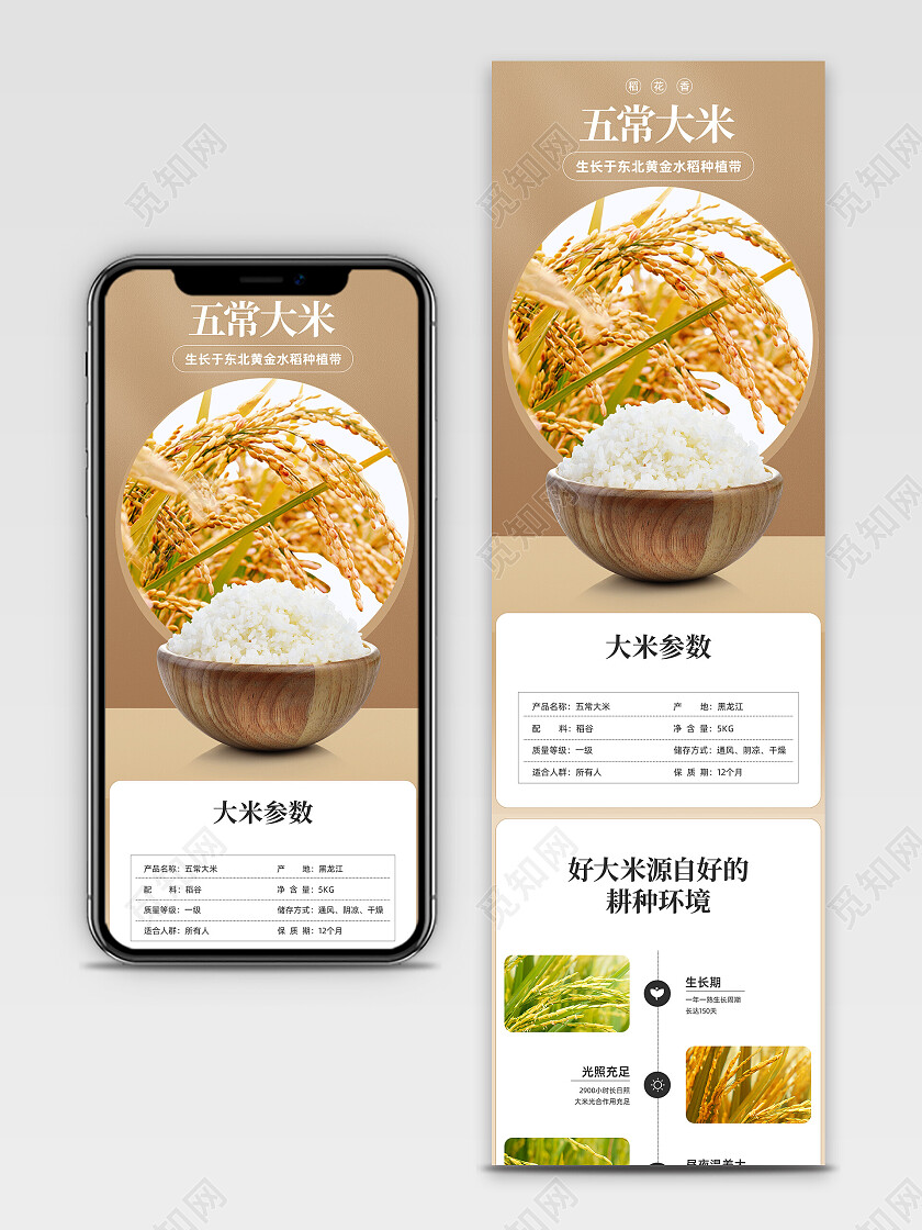 五常大米淘宝抖音京东电商详情页