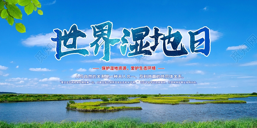 蓝色大气简约风2024年世界湿地日宣传栏展板设计
