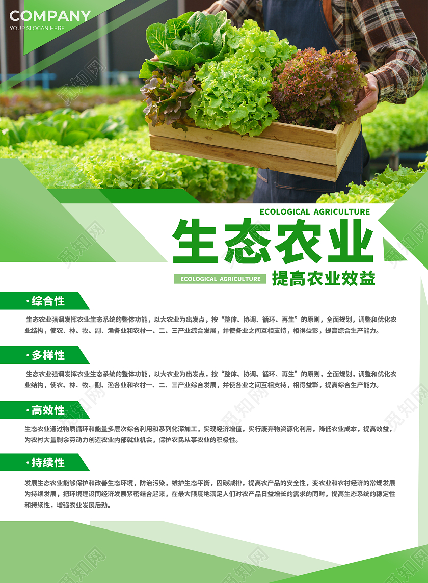 生态农业宣传单