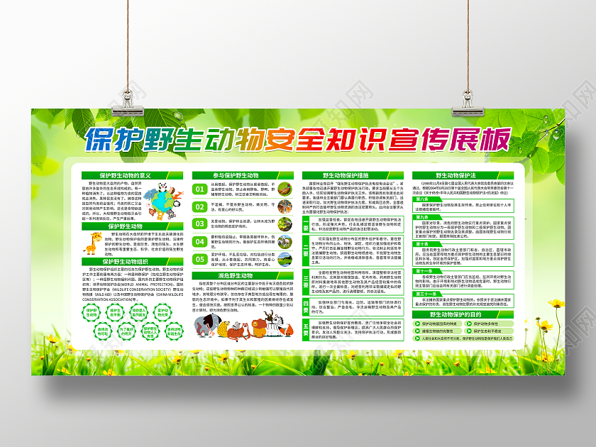 绿色简约保护野生动物安全知识宣传展板保护野生动物宣传栏