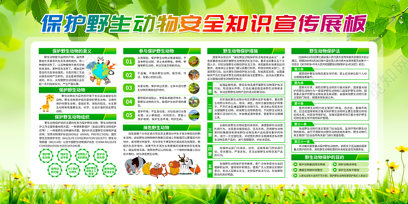 绿色简约保护野生动物安全知识宣传展板保护野生动物宣传栏