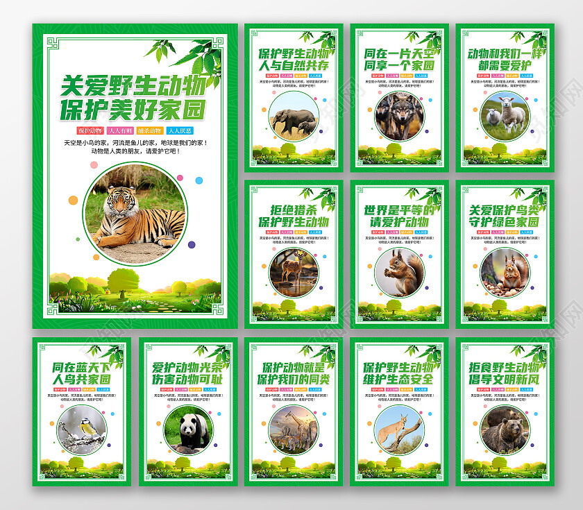 绿色大气保护濒临动物保住野生动物宣传套图