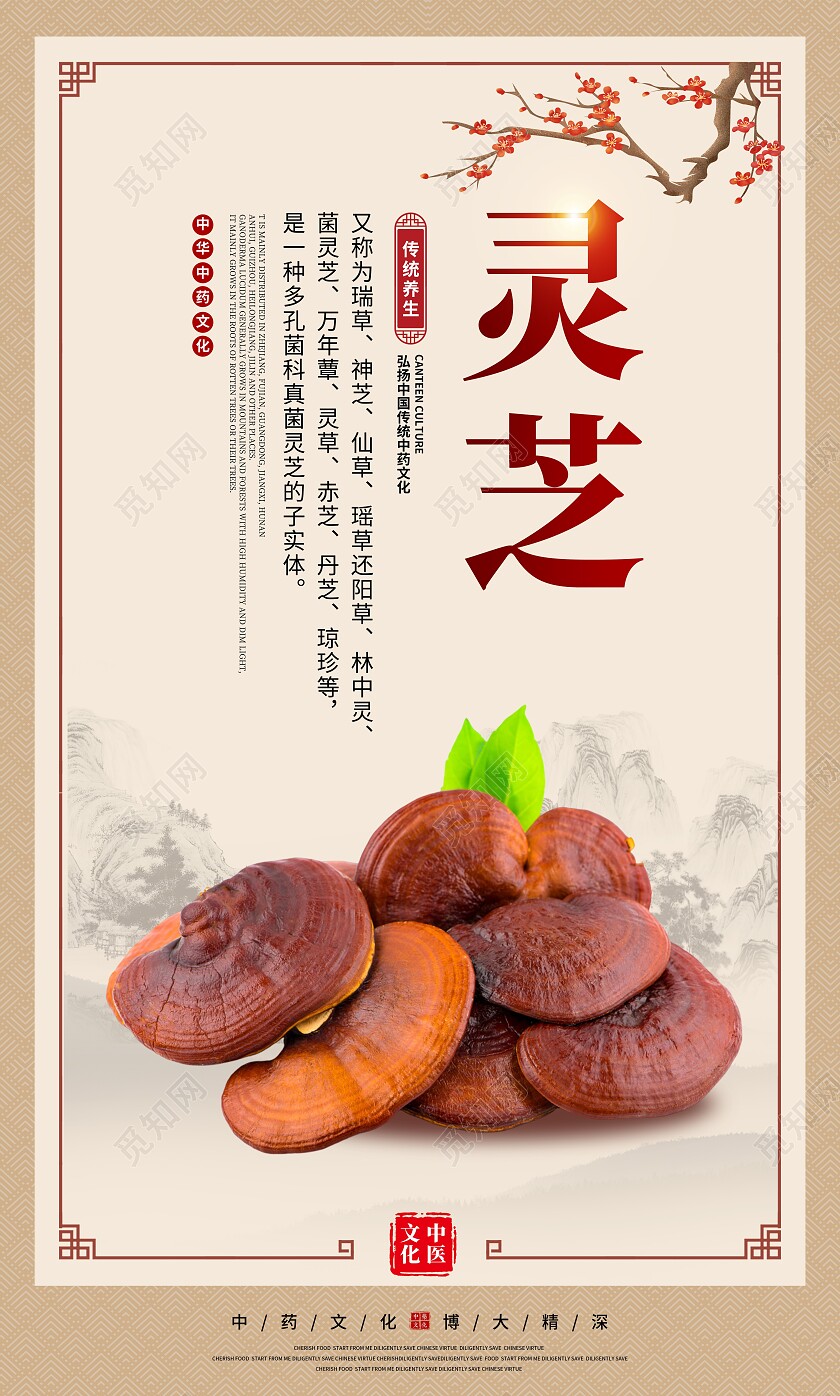 复古大气中医药药材宣传套图