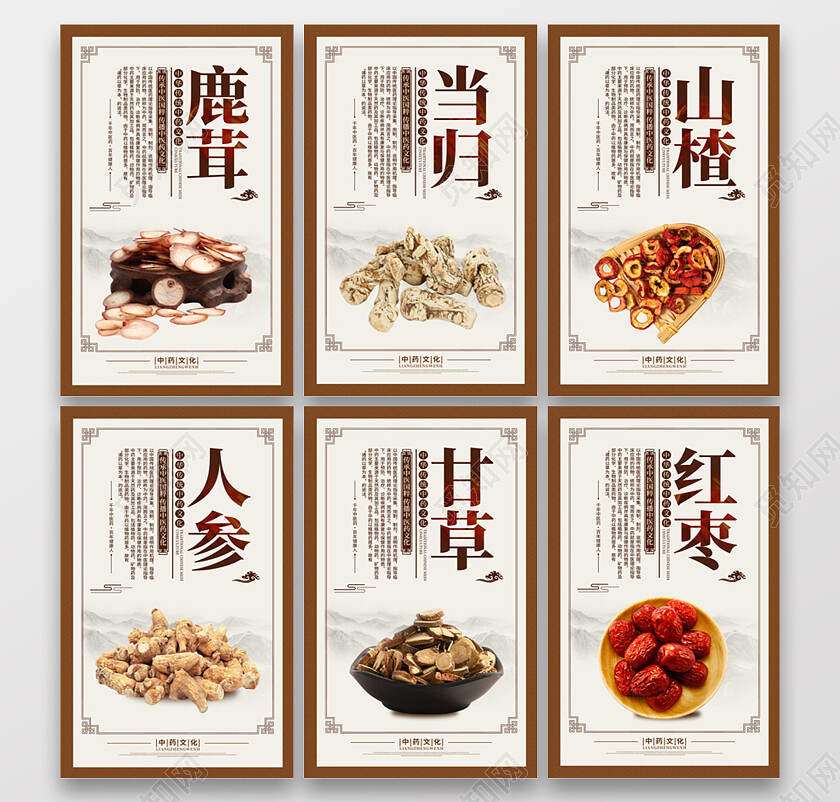复古大气中医药药材宣传套图