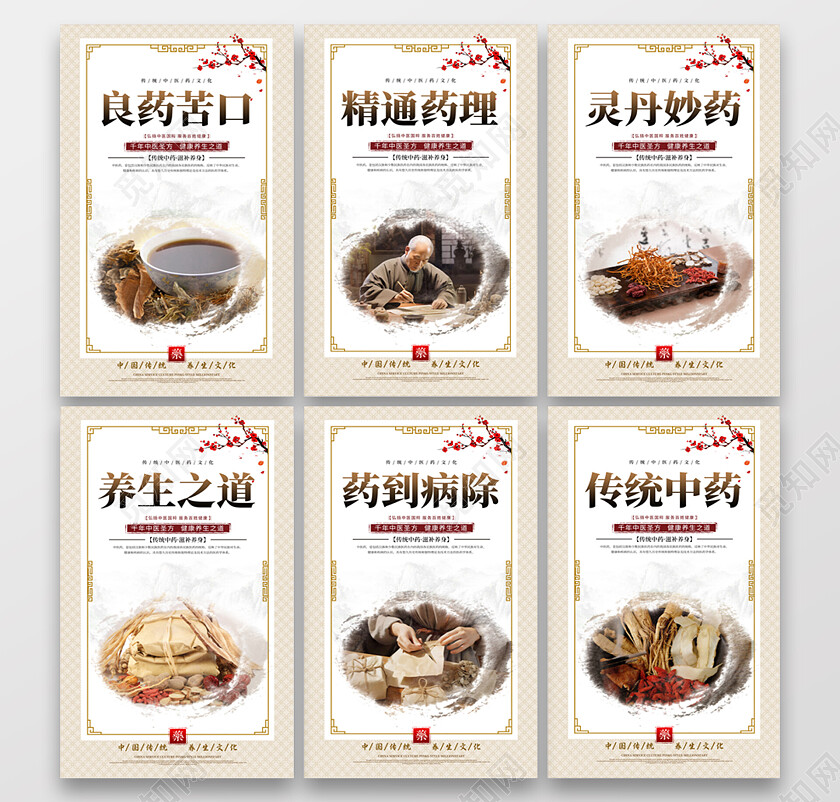 时尚大气中医药宣传套图