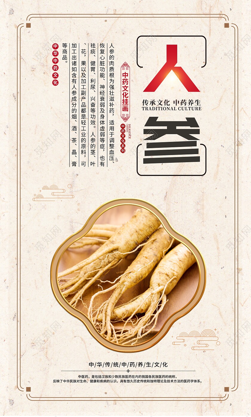 复古大气中医药药材宣传套图
