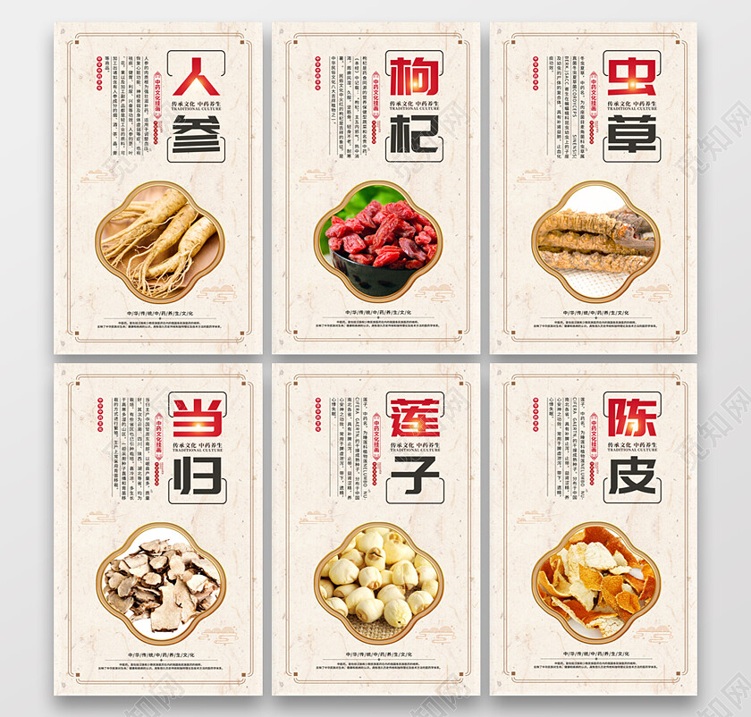 复古大气中医药药材宣传套图