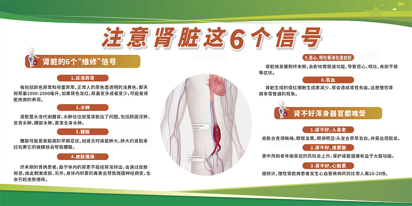 绿色渐变肾脏病健康知识宣传栏