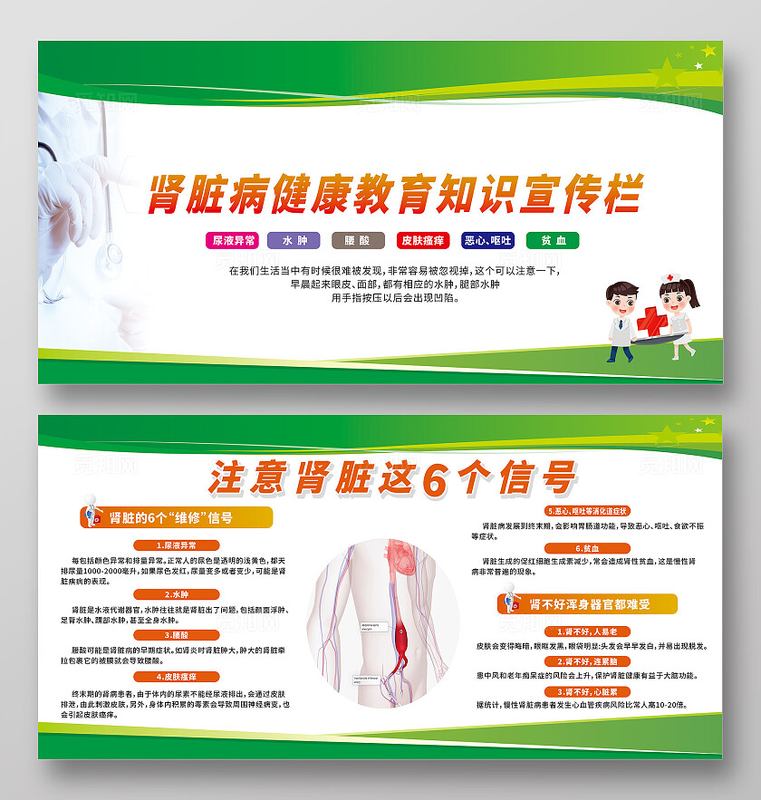 绿色渐变肾脏病健康知识宣传栏