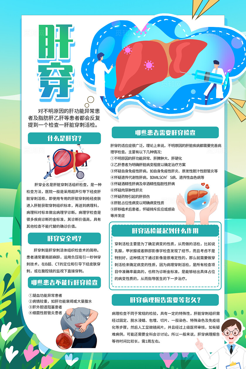 插画风肝穿肝癌文案海报