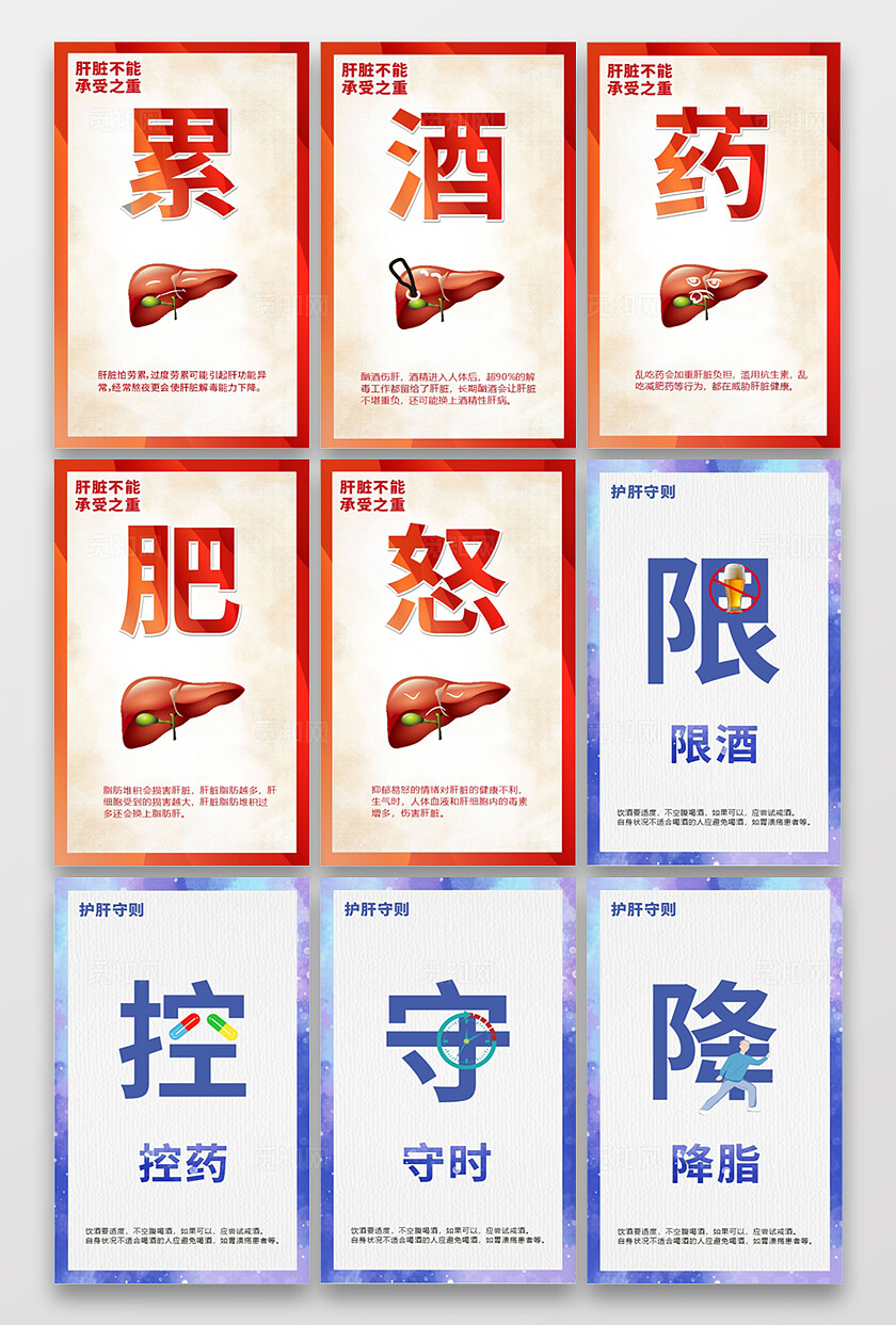简洁护肝肝脏海报套图