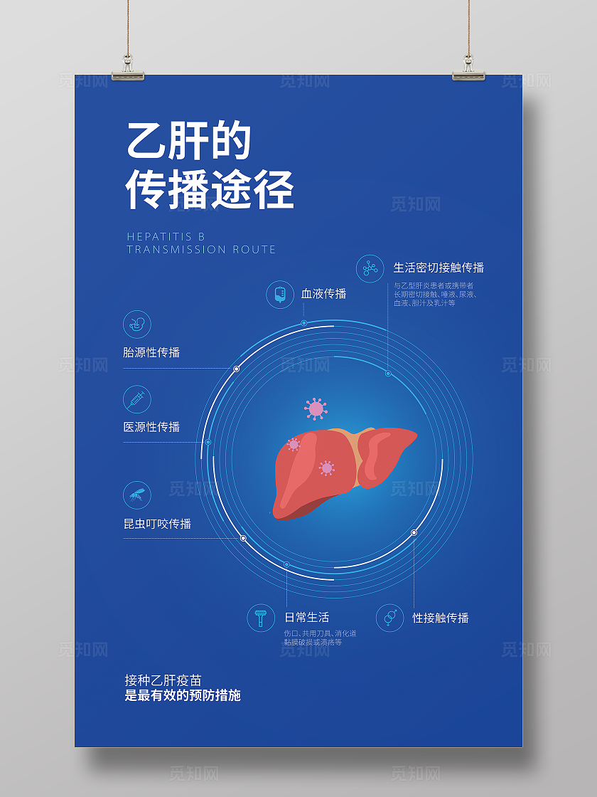 乙型肝炎乙肝的传播途径文案海报