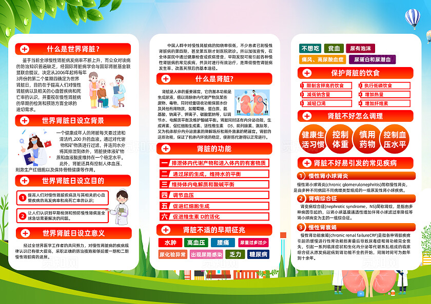 绿色简约2024年世界肾脏日三折页宣传